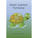 Meet Gopher Tortoise