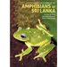 A Photographic Field Guide to the Amphibians of Sri Lanka