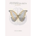 Psicopatología y caos (2a edición)