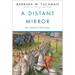 A Distant Mirror: The Calamitous 14th Century