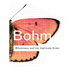Wholeness and the Implicate Order