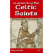 In Search of the Celtic Saints