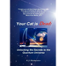 Your Cat is Dead: Unlocking the Secrets to the Quantum Universe