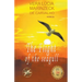 The Flight of the Seagull