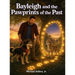 Bayleigh and the Pawprints of the Past