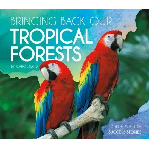 Bringing Back Our Tropical Forests