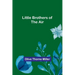 Little Brothers of the Air