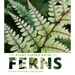 The Plant Lover's Guide to Ferns