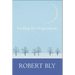 Looking for Dragon Smoke: Essays on Poetry
