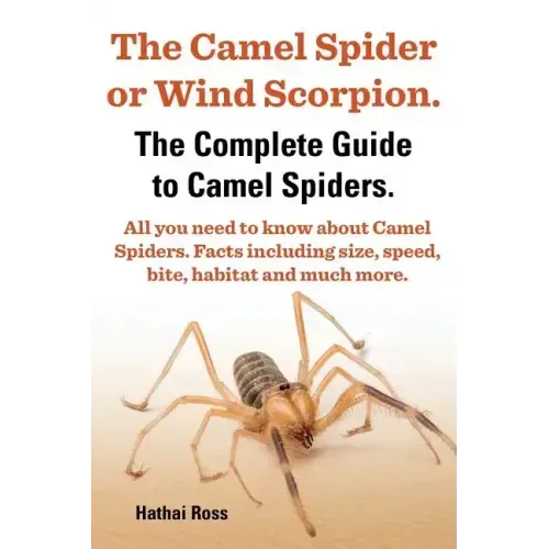 The Camel Spider or Wind Scorpion. the Complete Guide to Camel Spiders. All You Need to Know about Camel Spiders. Facts Including Size, Speed, Bite an
