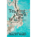 Tearing Down the Wall