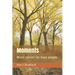 Moments: Micro Stories for Busy People