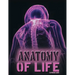 Anatomy of Life