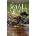 Believe in Small Miracles: Look for small miracles in your life.