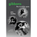 Gibbons: The Invisible Apes