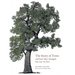 The Story of Trees: And How They Changed the World