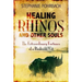 Healing Rhinos and Other Souls: The Extraordinary Fortunes of a Bushveld Vet