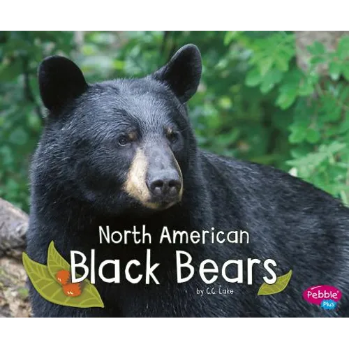 North American Black Bears