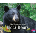 North American Black Bears