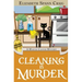 Cleaning is Murder