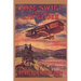 Tom Swift and his Air Glider