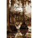 Bayou Cocktail