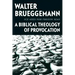 Ice Axes for Frozen Seas: A Biblical Theology of Provocation