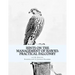 Hints on the Management of Hawks: Practical Falconry