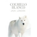 Colmillo Blanco
