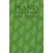 Plants - Ferns, Palms and Cycads