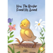 How The Rooster Found His Sound