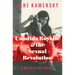 Candida Royalle and the Sexual Revolution: A History from Below