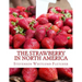 The Strawberry In North America: History, Origin, Botany and Breeding