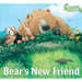 Bear's New Friend