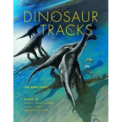 Dinosaur Tracks: The Next Steps