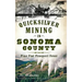 Quicksilver Mining in Sonoma County: Pine Flat Prospect Fever