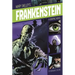 Frankenstein: A Graphic Novel