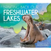 Bringing Back Our Freshwater Lakes