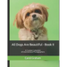All Dogs Are Beautiful - Book II -: A Curated Collection of International Photographers