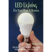 LED Lighting for your Home & Business: LED Lights Save Money and Make Your Home Lighting Spectacular