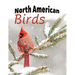 North American Birds