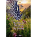 My Poetry Is The Beauty You Overlook
