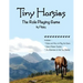 Tiny Horsies: The Role Playing Game