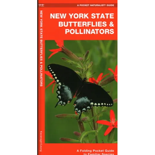 New York State Butterflies & Pollinators: A Folding Pocket Guide to Familiar Species