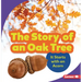 The Story of an Oak Tree: It Starts with an Acorn