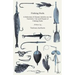 Fishing Rods - A Selection of Classic Articles on the Varieties, Use and Repair of Fishing Rods (Angling Series)