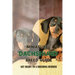 Miniature Dachshund Breed Guide: Get Ready To A Breeding Business: How Are Mini Dachshunds Bred