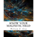 Know Your Magnetic Field