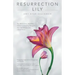 Resurrection Lily: The Brca Gene, Hereditary Cancer & Lifesaving Whispers from the Grandmother I Never Knew