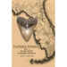 Florida Fossils: Shark Teeth & Marine Animals